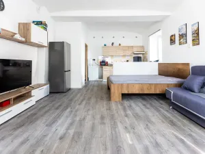 Prodej činžovního domu, Jeníkov, 509 m2