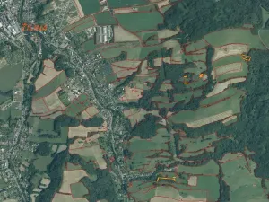 Dražba louky, Nový Jičín, 6670 m2