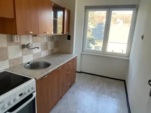 Pronájem bytu 1+kk, Dolní Podluží, 30 m2