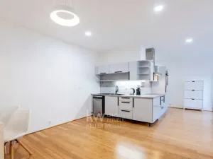 Pronájem bytu 2+kk, Praha - Žižkov, Žerotínova, 52 m2