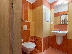Pronájem bytu 1+kk, Praha - Horní Měcholupy, Hornoměcholupská, 32 m2