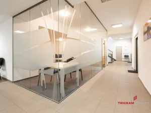 Pronájem kanceláře, Hradec Králové - Pražské Předměstí, Gočárova třída, 32 m2