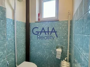 Prodej rodinného domu, Veselí nad Moravou, Břestek, 230 m2