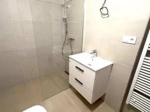 Pronájem bytu 2+kk, Plzeň, Zahradní, 60 m2