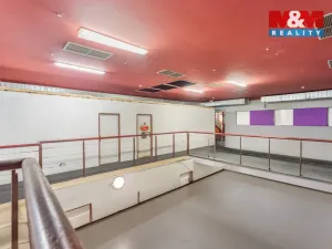 Prodej obchodního prostoru, Krnsko, 700 m2