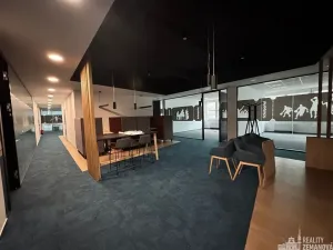 Pronájem kanceláře, Praha - Smíchov, Karla Engliše, 740 m2