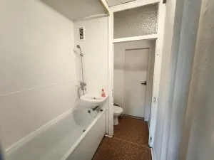 Pronájem bytu 1+1, Plzeň, Krejčíkova, 43 m2