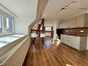 Pronájem bytu 2+kk, Brno, Mahenova, 50 m2