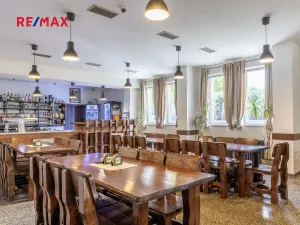 Prodej obchodního prostoru, Čelákovice, Rumunská, 794 m2