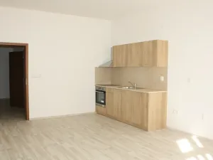 Pronájem bytu 2+kk, Brno, Vlhká, 71 m2
