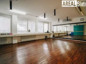 Pronájem kanceláře, Brno, Tuřanka, 53 m2