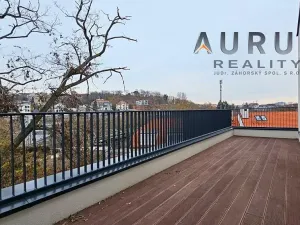 Pronájem bytu 4+kk, Praha - Nusle, Bělehradská, 123 m2