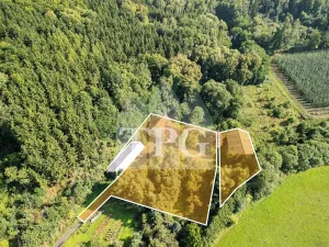 Prodej pozemku pro bydlení, Deštnice, 4068 m2