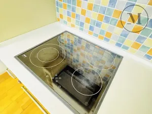 Pronájem bytu 1+1, České Budějovice, Riegrova, 55 m2