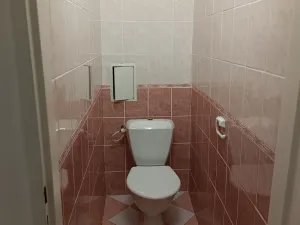 Pronájem bytu 2+1, Bílina - Újezdské Předměstí, 5. května, 60 m2