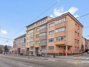 Pronájem bytu 1+1, Brno, Havlišova, 35 m2