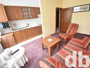 Pronájem bytu 2+kk, Karlovy Vary, Vítězná, 45 m2