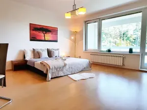 Pronájem bytu 1+kk, Brno, Šemberova, 48 m2