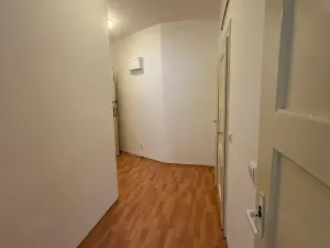 Pronájem bytu 1+kk, Praha - Nusle, V Horkách, 35 m2