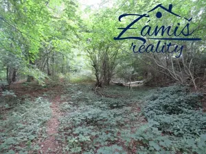 Prodej lesa, Pohledy, 7200 m2