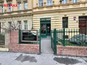Pronájem obchodního prostoru, Praha - Bubeneč, Šmeralova, 41 m2
