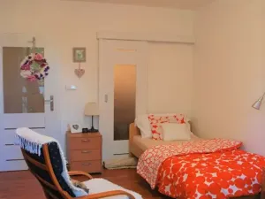 Prodej bytu 2+kk, Ostrava, Karola Šmidkeho, 74 m2