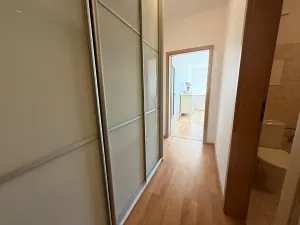 Pronájem bytu 1+kk, Praha, Jeřabinová, 43 m2