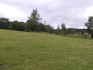 Dražba louky, Vlčice, 1566 m2