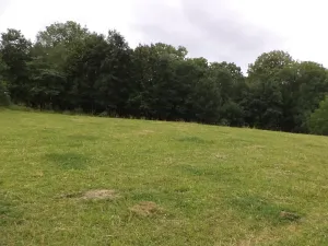 Dražba louky, Vlčice, 1566 m2