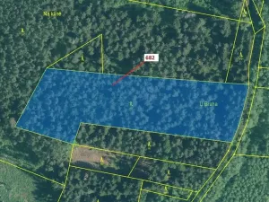 Dražba lesa, Kuřimany, 11584 m2