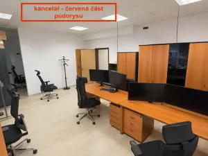 Pronájem kanceláře, Brno, Příkop, 226 m2