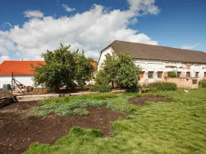 Prodej rodinného domu, Žabovřesky, 950 m2