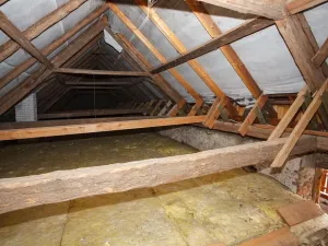 Prodej rodinného domu, Žabovřesky, 950 m2