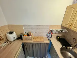 Pronájem bytu 1+kk, Lovosice, Sady pionýrů, 22 m2