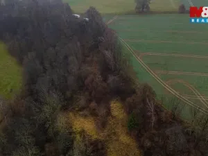 Prodej louky, Bílá - Hradčany, 6046 m2