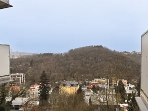 Pronájem bytu 1+kk, Praha - Košíře, Pod Šmukýřkou, 42 m2