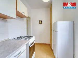 Pronájem bytu 1+1, Plzeň - Lobzy, Revoluční, 34 m2