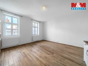 Pronájem bytu 1+kk, Plzeň - Východní Předměstí, 24 m2