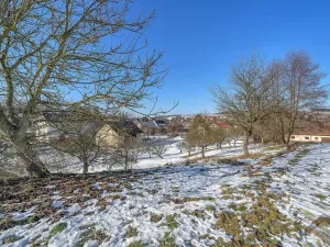 Prodej pozemku pro bydlení, Horní Čermná, 3443 m2