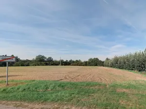 Prodej pozemku pro bydlení, Malšice, 2672 m2