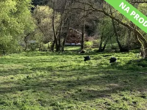 Prodej louky, Malé Kyšice, 3723 m2