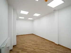 Prodej restaurace, Praha - Žižkov, Olšanská, 352 m2