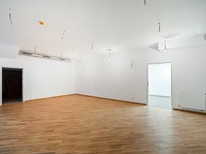 Prodej restaurace, Praha - Žižkov, Olšanská, 352 m2