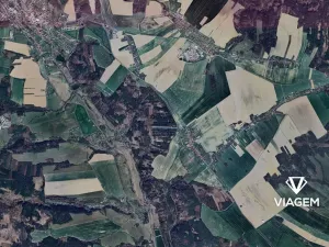 Prodej podílu lesa, Budětsko, 990 m2