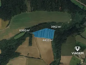 Prodej podílu lesa, Chlum, 1915 m2