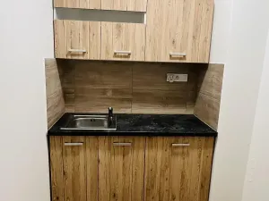 Pronájem skladu, Olomouc, Uhelná, 80 m2