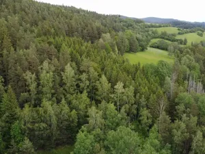 Prodej pozemku, Rejštejn, 1970 m2