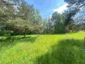 Prodej pozemku, Býkov-Láryšov - Býkov, 2300 m2