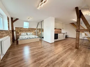 Pronájem bytu 2+kk, Brno, Mahenova, 50 m2