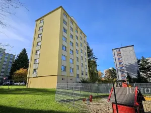 Prodej bytu 2+1, Písek, Dr. M. Horákové, 51 m2